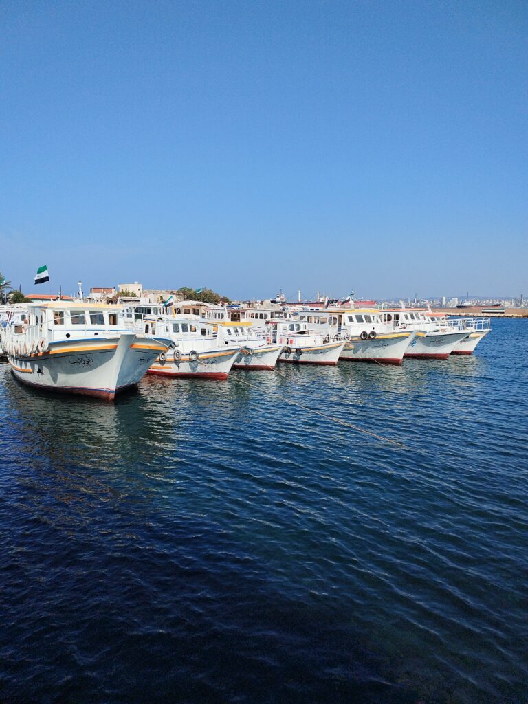 img 20251128 120250
