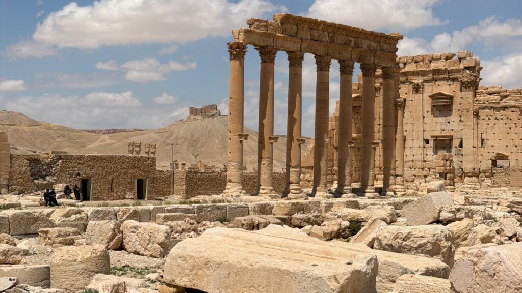 palmyra