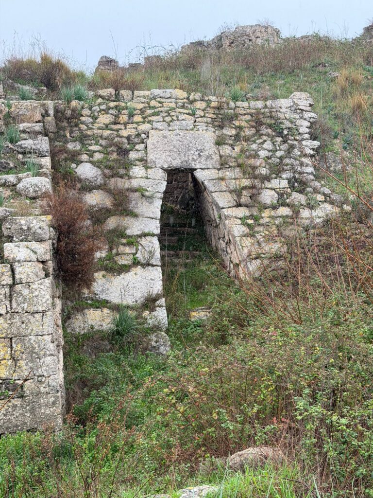 ugarit