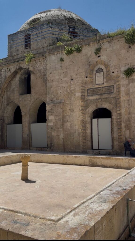 Les Madrasas de Syrie : quand l'éducation façonnait les villes médiévales whatsapp image 2026 06 12 at 7.36.04 pm
