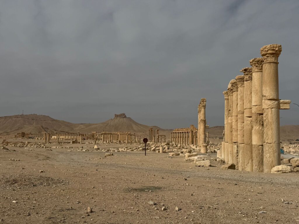 Palmyre (Tadmor), la reine du désert : histoire, splendeur et héritage de la plus célèbre oasis de Syrie lwci9086