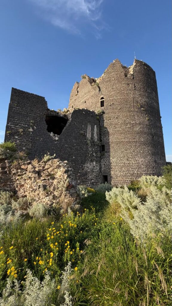 Le château de Marqab : la gigantesque forteresse noire des Croisés en Syrie whatsapp image 2026 07 01 at 5.18.59 pm (19)