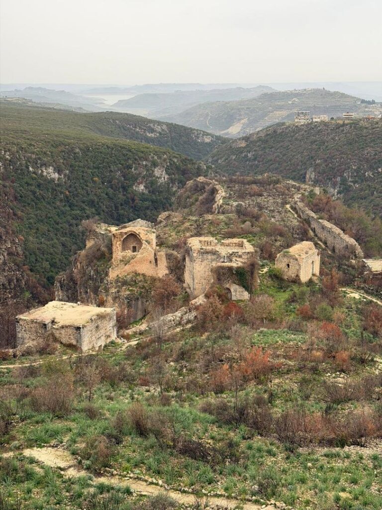 Les Francs en Syrie whatsapp image 2026 07 01 at 5.18.59 pm (9)