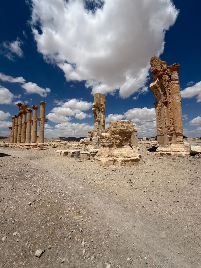 Palmyre (Tadmor), la reine du désert : histoire, splendeur et héritage de la plus célèbre oasis de Syrie whatsapp image 2026 07 09 at 2.52.40 pm (3)