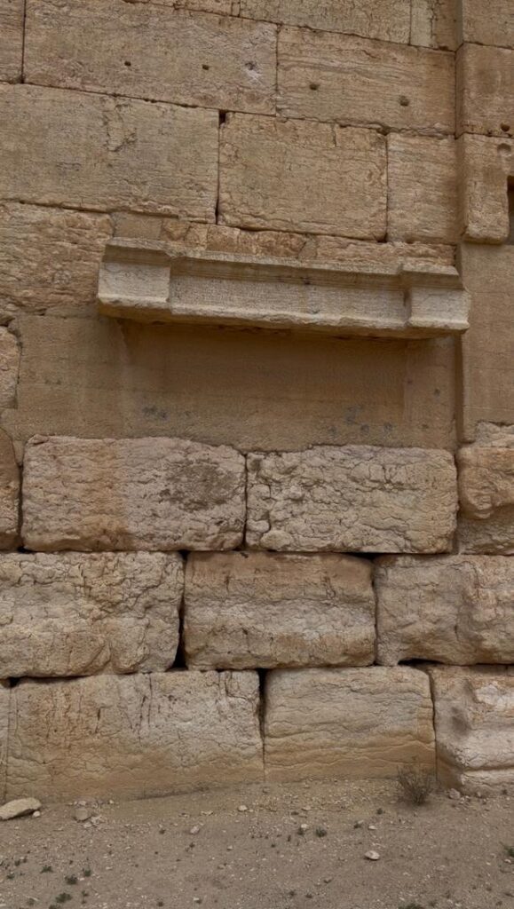 Palmyre (Tadmor), la reine du désert : histoire, splendeur et héritage de la plus célèbre oasis de Syrie whatsapp image 2026 07 09 at 2.59.57 pm