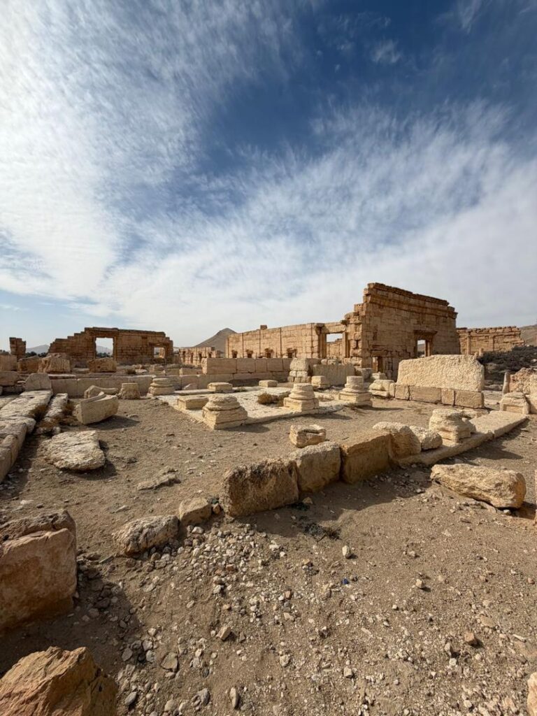Palmyre (Tadmor), la reine du désert : histoire, splendeur et héritage de la plus célèbre oasis de Syrie whatsapp image 2026 07 09 at 3.18.50 pm