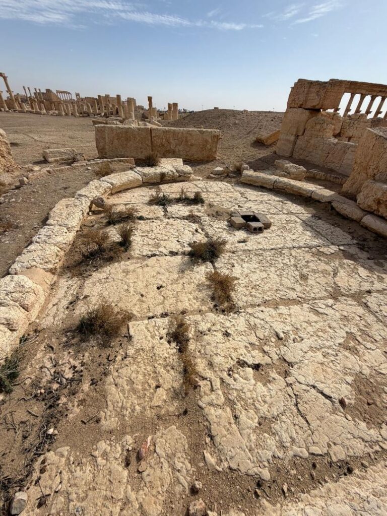 Palmyre (Tadmor), la reine du désert : histoire, splendeur et héritage de la plus célèbre oasis de Syrie whatsapp image 2026 07 09 at 3.25.31 pm