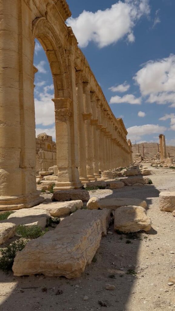 Palmyre (Tadmor), la reine du désert : histoire, splendeur et héritage de la plus célèbre oasis de Syrie whatsapp image 2026 07 09 at 3.31.24 pm (1)