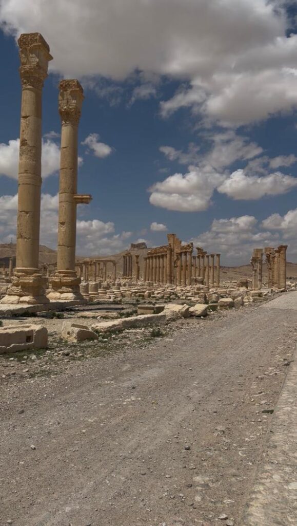 Palmyre (Tadmor), la reine du désert : histoire, splendeur et héritage de la plus célèbre oasis de Syrie whatsapp image 2026 07 09 at 3.52.15 pm