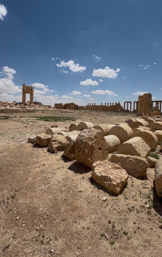 Palmyre (Tadmor), la reine du désert : histoire, splendeur et héritage de la plus célèbre oasis de Syrie whatsapp image 2026 07 09 at 4.01.36 pm