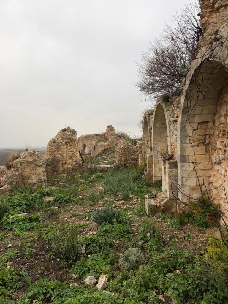 Le château de Saladin: la plus impressionnante forteresse croisée de Syrie whatsapp image 2026 07 13 at 8.01.34 pm