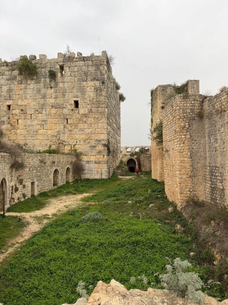 Le château de Saladin: la plus impressionnante forteresse croisée de Syrie whatsapp image 2026 07 13 at 8.17.48 pm