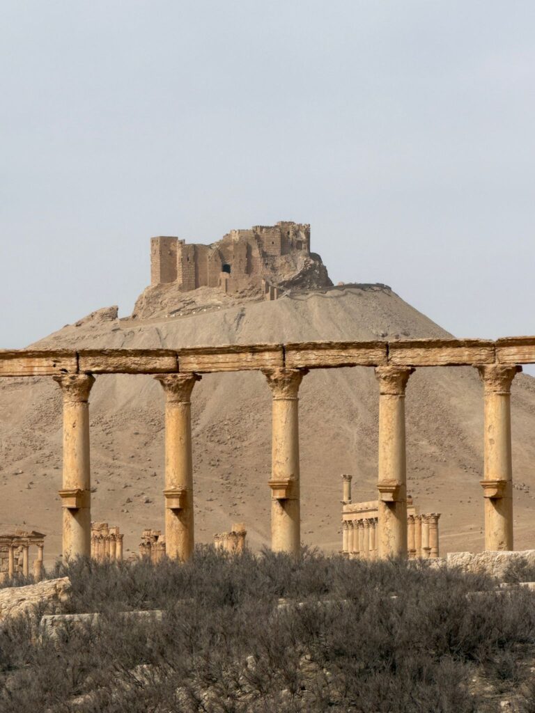 Palmyre (Tadmor), la reine du désert : histoire, splendeur et héritage de la plus célèbre oasis de Syrie palmyre (2)