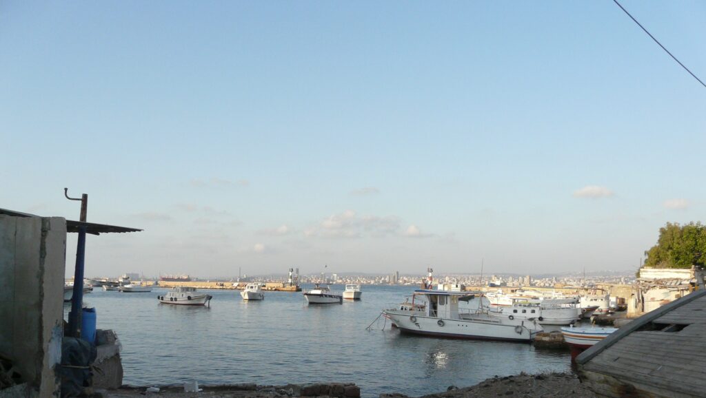 tartous 2