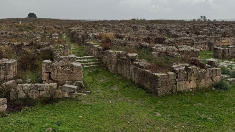 ugarit